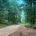 هتل آپارتمان بام شهر در گلستان