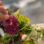 آموزشگاه آشپزی اوریگانو در همدان