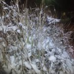 هتل آپارتمان بام شهر در گلستان