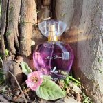 پخش عمده ادکلن اوکلا در تهران