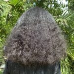 آموزشگاه و سالن زیبایی رویا رفیعی در رشت