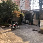 موسسه شکوفاگران پاک اندیش گلستان در آزادشهر