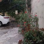 موسسه شکوفاگران پاک اندیش گلستان در آزادشهر