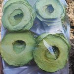 تولید و فروش میوه خشک احمدی در کرج