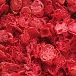 تولید و فروش میوه خشک احمدی در کرج