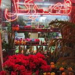 قصر گل شهرضا در اصفهان