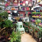 قصر گل شهرضا در اصفهان