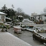 تالار حریر تابش در جمعه بازار