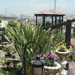 تالار پذیرایی رسپینا در تهران