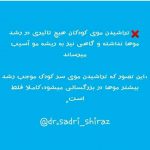 دکتر اسماعیل صدری در شیراز