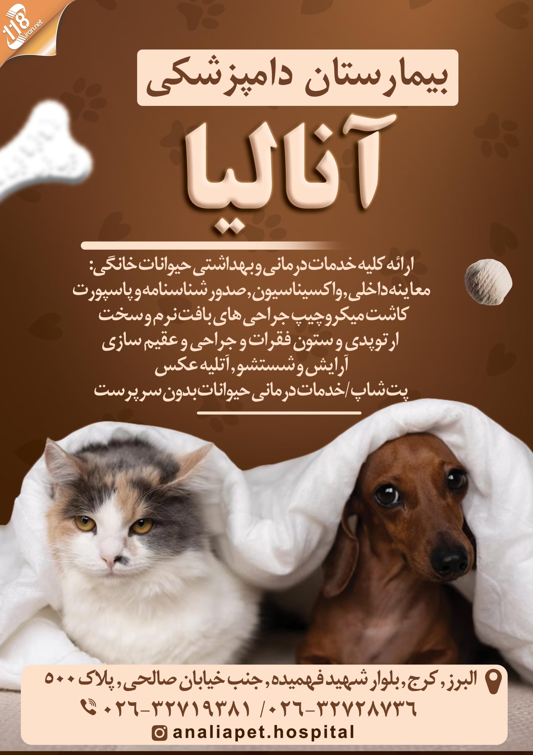 بیمارستان دامپزشکی آنالیا