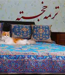 ترمه خجسته در یزد