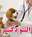 درمانگاه دامپزشکی و پت شاپ گوهردشت کرج