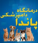 درمانگاه دامپزشکی پاندا در بندر انزلی