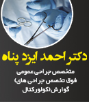 دکتر احمد ایزدپناه در شیراز