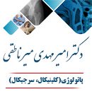 دکتر امیر مهدی میر ناطقی در تهران