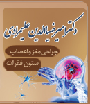 دکتر امیرضیاالدین علیمرادی در رشت