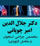 دکتر جلال الدین امیر چوپانی در تهران