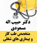 دکتر حبیب اله مسعودی در تهران