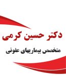 دکتر حسین کرمی در ایلام