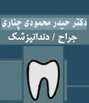 دکتر حیدر محمودی چناری