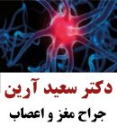 دکتر سعید آرین در گنبد