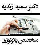 دکتر سعید زندیه در عسلویه