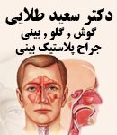دکتر سعید طلایی در زنجان