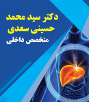 دکتر سید محمد حسینی سعدی در شیراز
