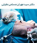 دکتر سید مهران مسلمی عقیلی در گرگان