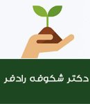 دکتر شکوفه رادفر در تهران
