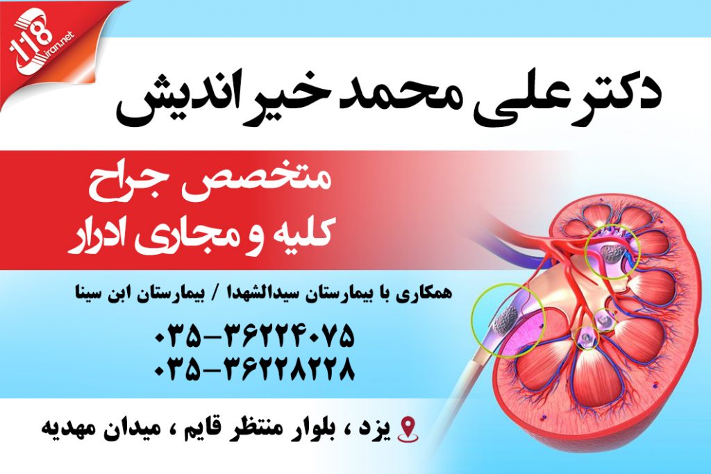 دکتر علی محمد خیراندیش در یزد