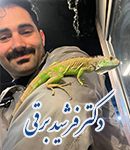 دکتر فرشید برقی در سراب