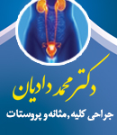 دکتر محمد دادیان در تبریز