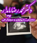 دکتر محمد رضا پایدار در شیراز