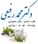 دکتر محمد رفیعی در شیراز