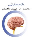 دکتر محمد صفریان در تهران