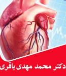 دکتر محمد مهدی باقری در کرمان