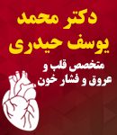 دکتر محمد یوسف حیدری در تهران