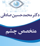 دکتر محمدحسین صادقی در بوشهر