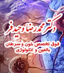 دکتر محمدرضا وحیدفر در یزد