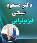 دکتر مسعود شیخی در ایذه