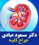 دکتر مسعود عبادی در قزوین