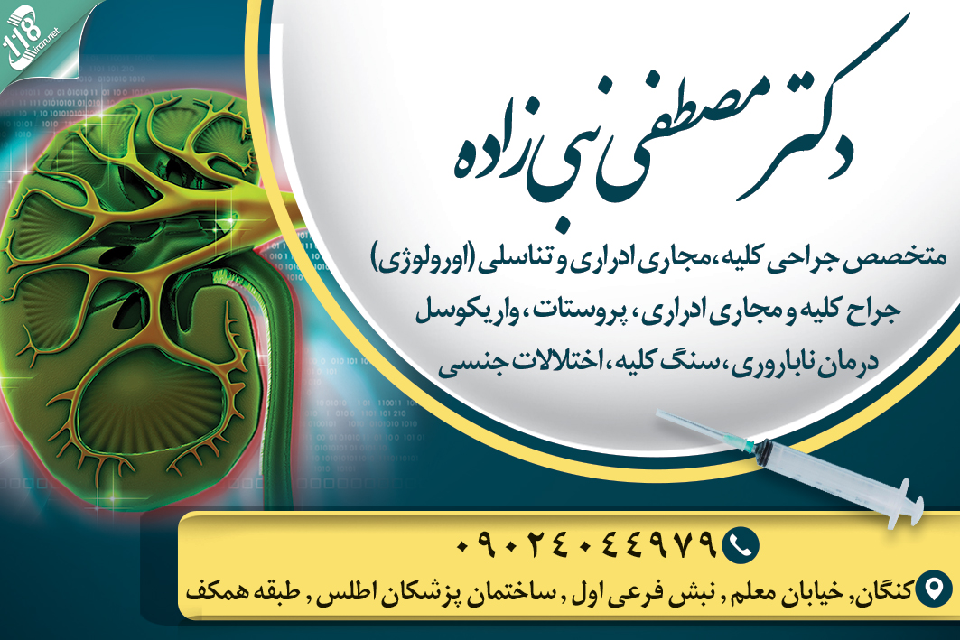 دکتر مصطفی نبی زاده