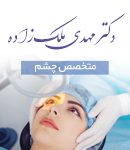 دکتر مهدی ملک زاده در کرمان