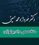 دکتر مهرداد محمدحسینی در شیراز