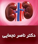 دکتر ناصر نجمایی در شیراز
