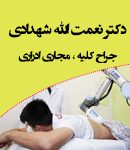 دکتر نعمت الله شهدادی در کرمان