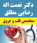 دکتر نعمت اله رضایی مطلق در بوشهر