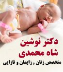 دکتر نوشین شاه محمدی در تبریز